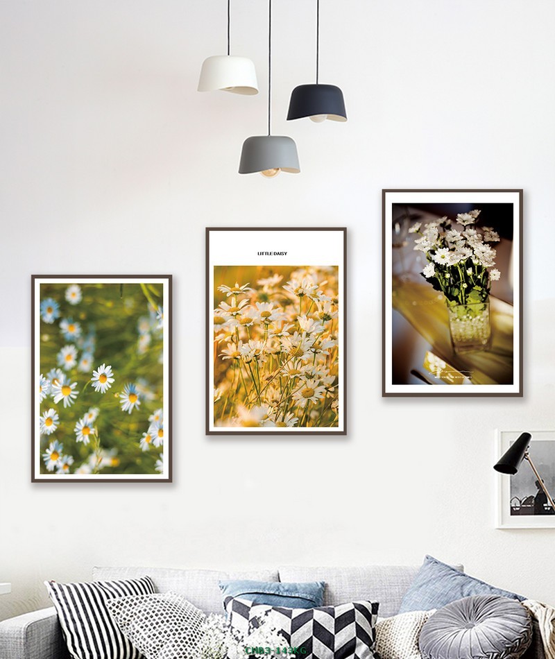 Hoa cúc trắng CHB3-143KG